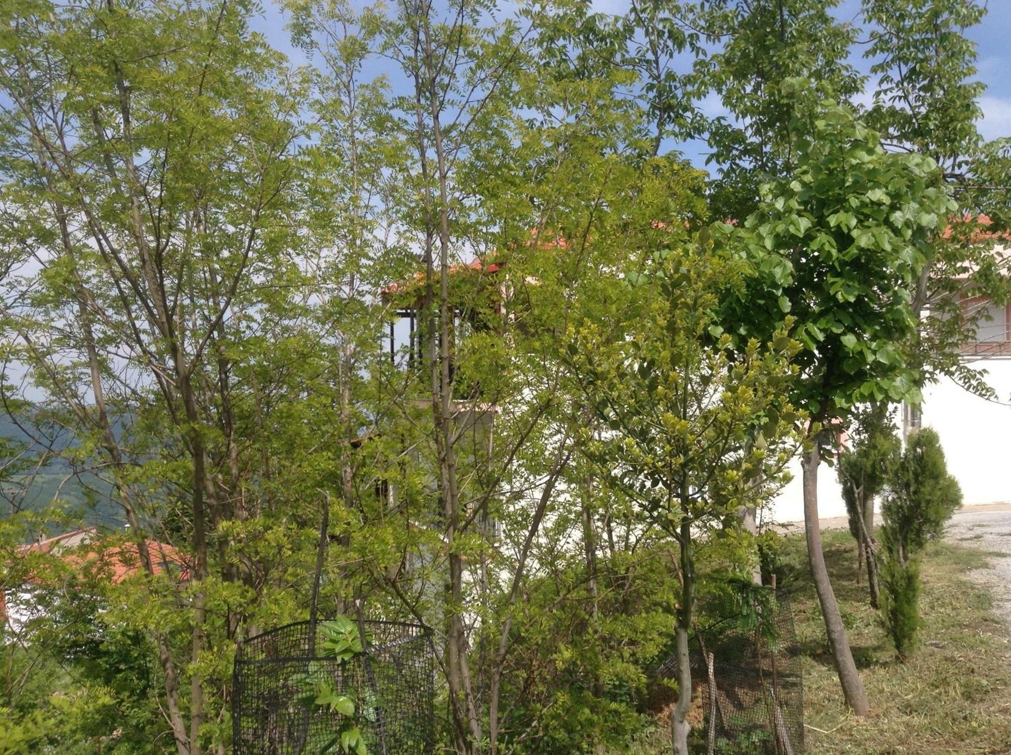 Hotel Πανδοχείο Λίμνης Πλαστήρα Kastanéa Exterior foto